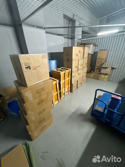 Оптовая продажа дисков PS4/PS5/Xbox/Nintendo