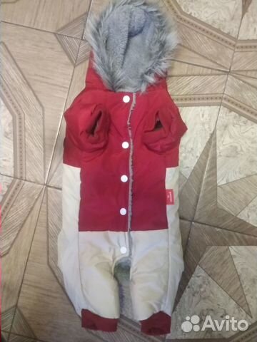 Одежда для маленькой собачки