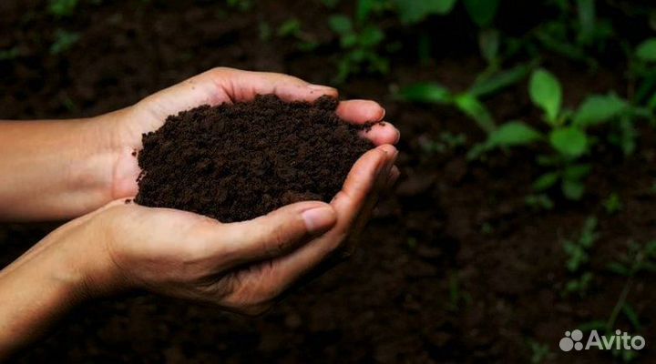 Грунт растительный