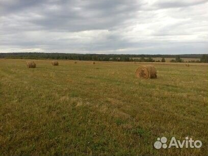 Сено,солома в рулонах