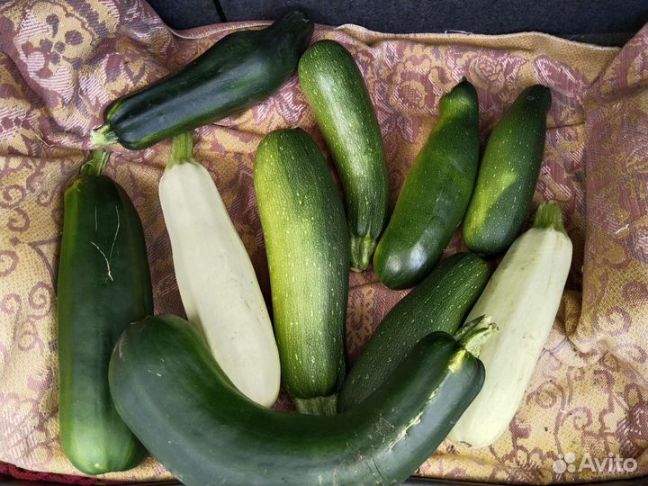 Кабачки свежие/Салат листовой