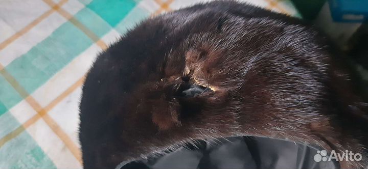 Меховые береты, шляпки 3 шт