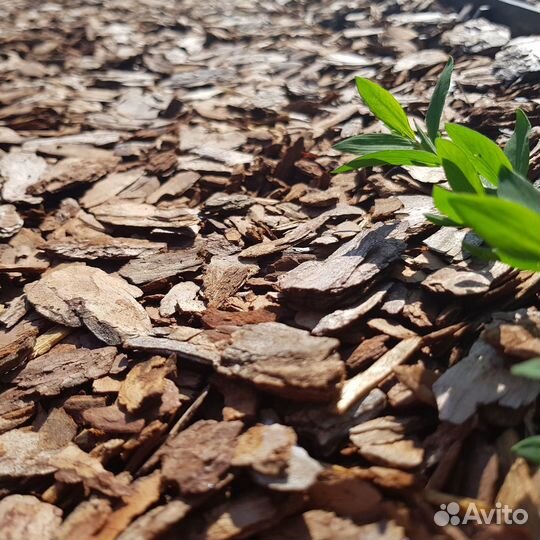 Мульча кора лиственницы