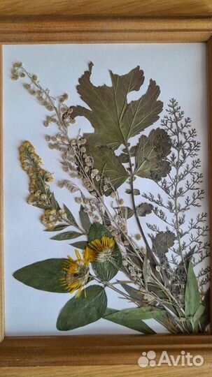 Интерьерная картина - гербарий из трав и цветов