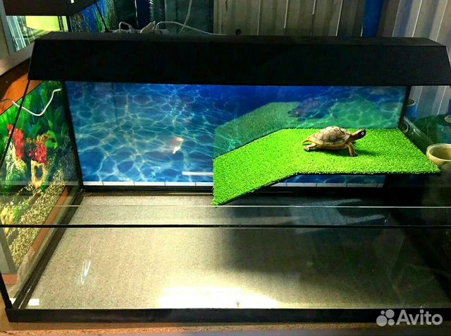 Черепашники, Терариумы 101литров для черепахи объявление продам