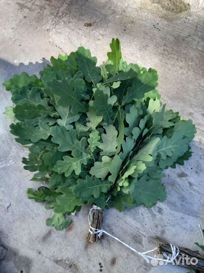 Банные веники