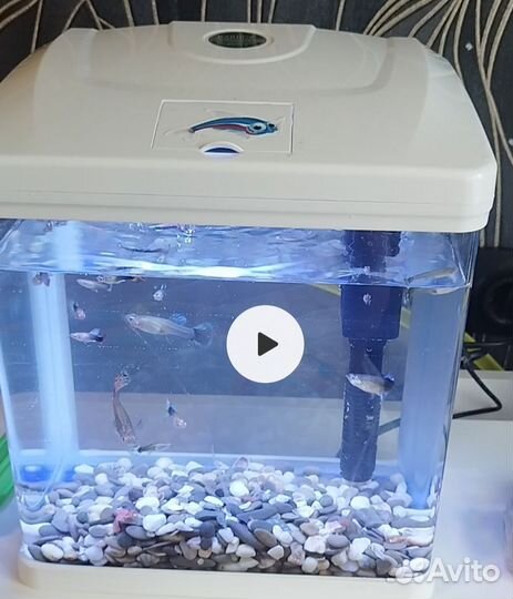 Аквариум
