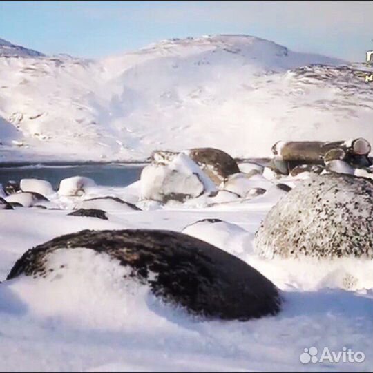 Тур в Териберку