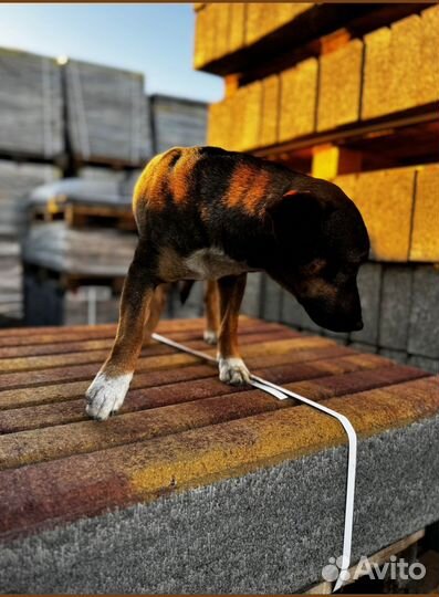 Тротуарная плитка Лэндхаус