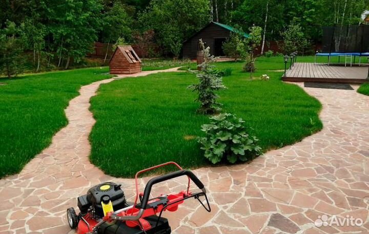 Рулонный газон с доставкой
