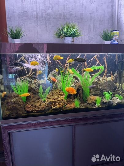 Украшение для аквариума