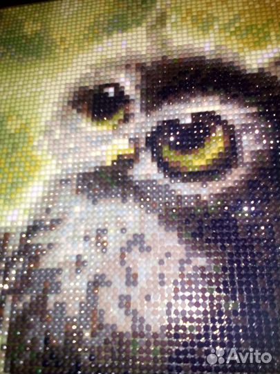 Картина алмазная готовая Сова