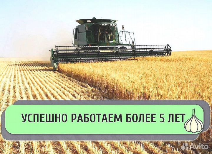 Инвестиции в сельское хозяйство, пассивный доход