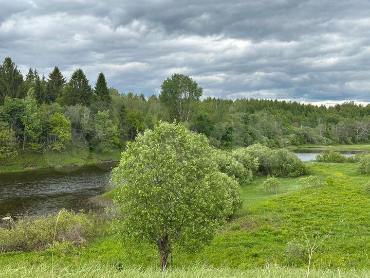 Участок 36 сот. (ИЖС)