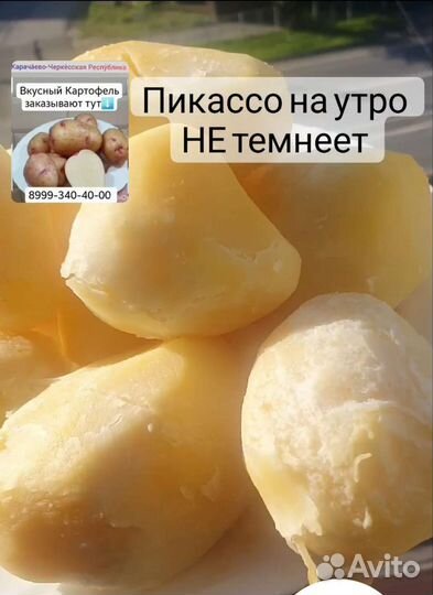 Картофель
