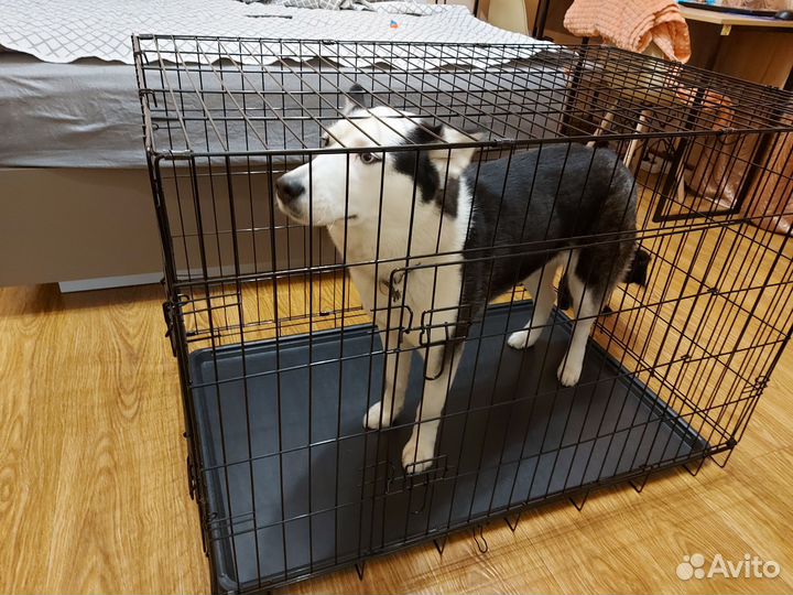 Клетка для собак