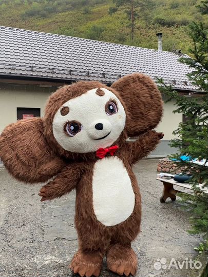 Аниматор на детский праздник чебурашка