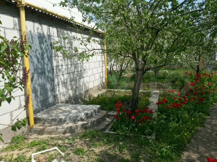 Дом 66 м² на участке 7 сот.