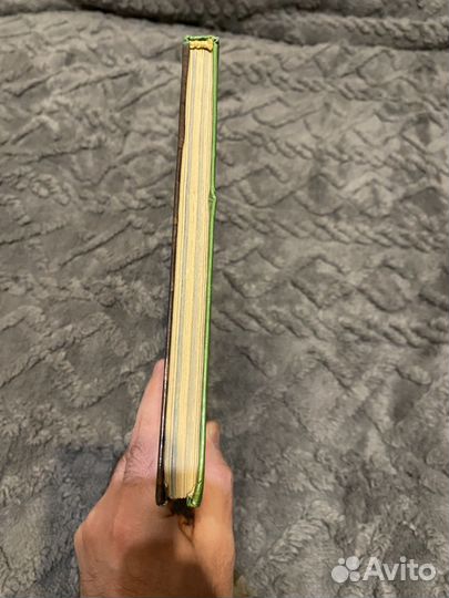 Петрович и Патапум в стране приключений. Василию