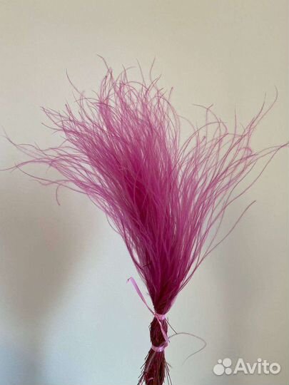 Окрашенная Стифа сухоцвет опт