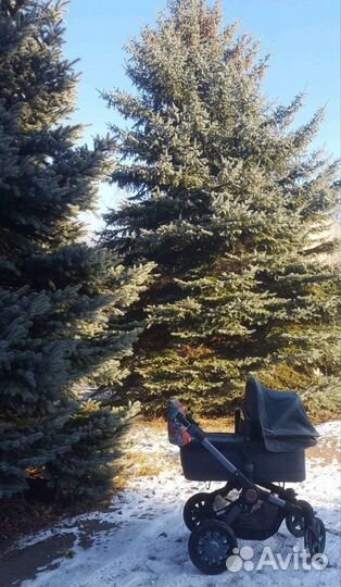 Коляска Bugaboo buffalo Diesel