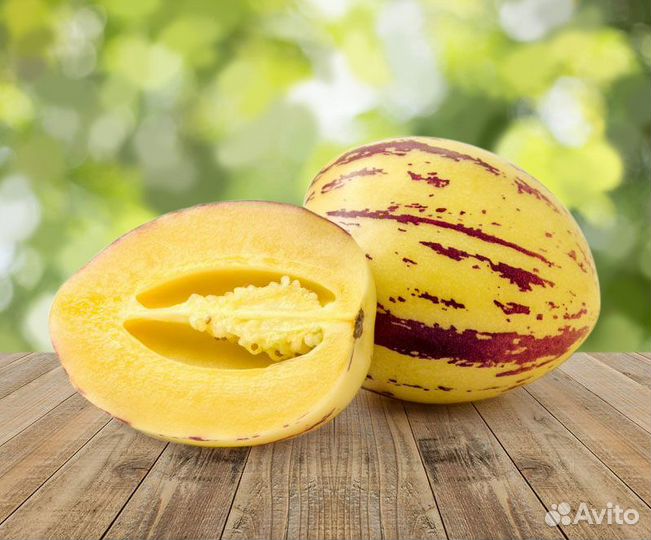 Пепино дынная груша укорененный черенок экзотика