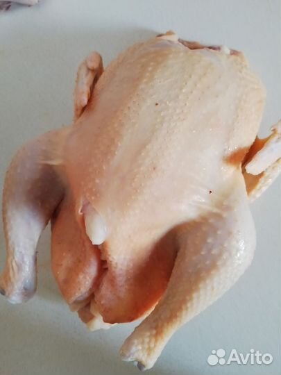 Мясо бройлера