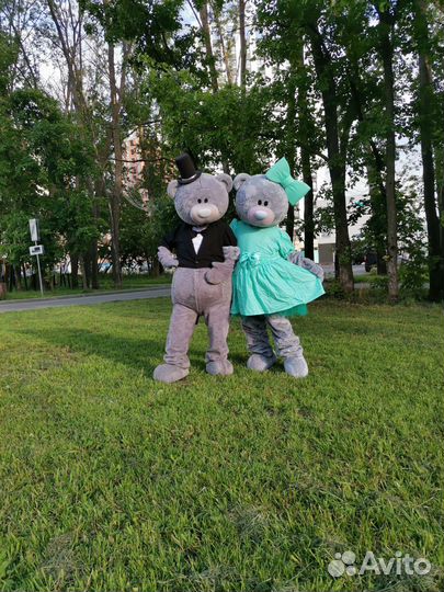 Белый медведь, Тедди на праздник