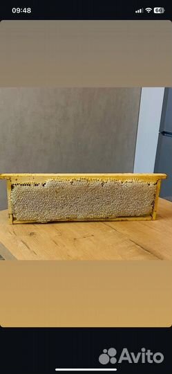 Мед в сотах