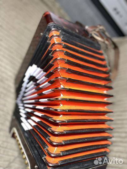 Гармонь Hohner