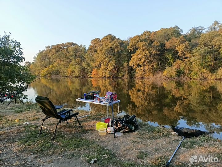 Полный классный карповый комплект