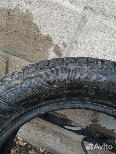 Matador MP 50 Sibir Ice 195/60 R15 88T
