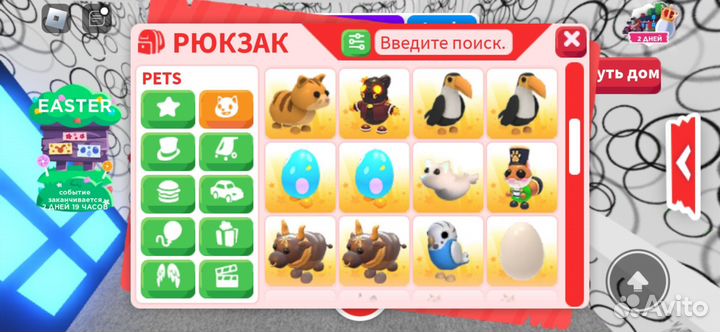 Петы из адопт ми