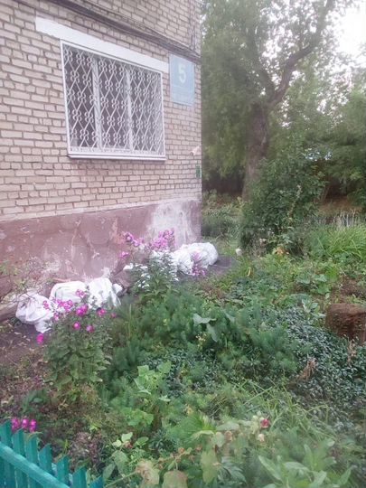 1-к. квартира, 31 м², 5/5 эт.