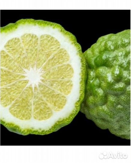 Yodeyma Парфюмерная вода женская cheante 15 ml