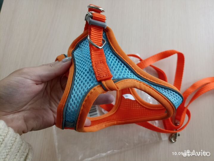 Шлейка с поводком для кота/маленькой собаки
