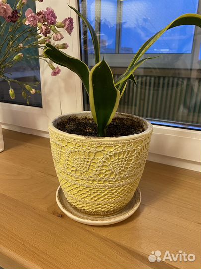 Горшок для цветов