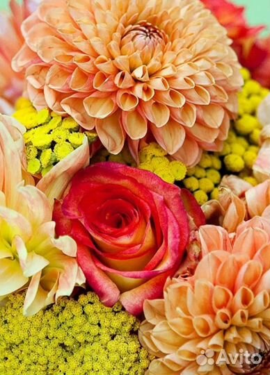 К дню учителя