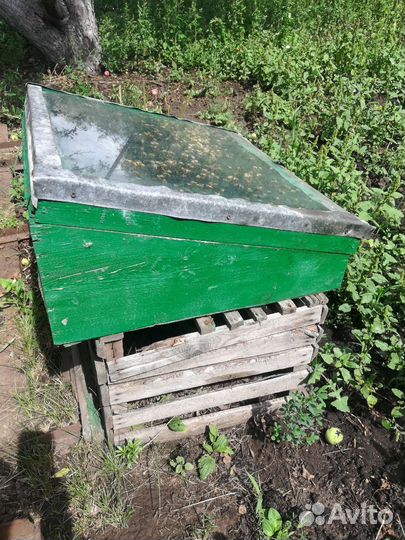 Товары для пасеки