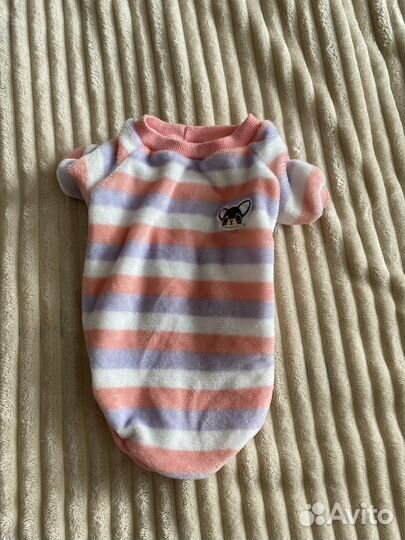 Боди одежда для собак