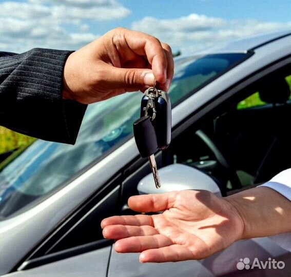 Водитель (трезвый, служебный, семейный)