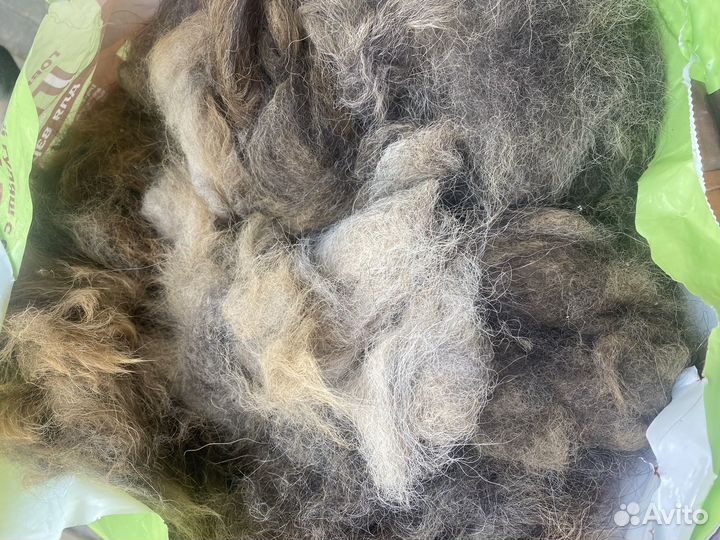 Собачья шерсть пух