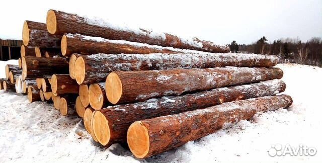 Лес кругляк лиственница