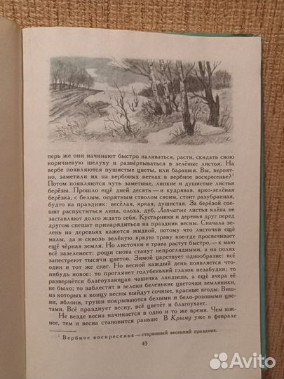 Рассказы И сказки