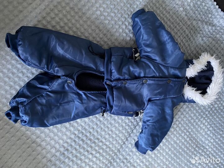 Одежда для собак