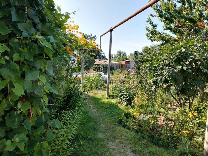 Дом 123 м² на участке 10 сот.