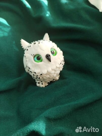 Сова шарообразная