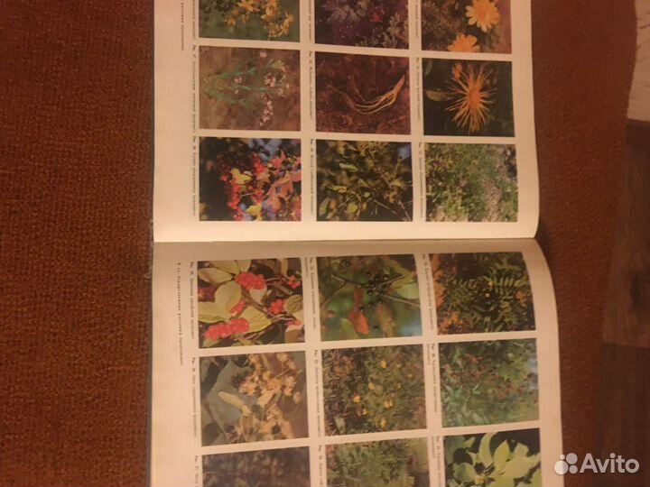 Популярная медицинская энциклопедия