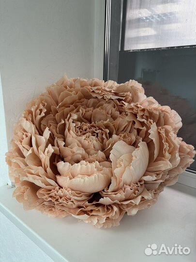 Цветы из гофрированной бумаги