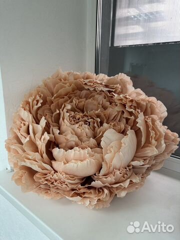 Цветы из гофрированной бумаги